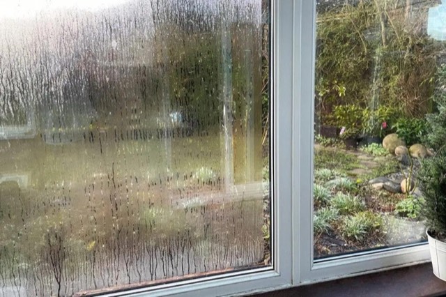 Living Room: Window Seal Failure with Moisture Intrusion and Staining: photo the finding was judged from